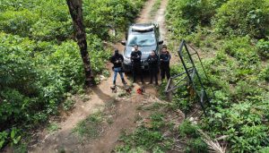 Drone ajuda na identificação de desmatamento ilegal em Mazagão